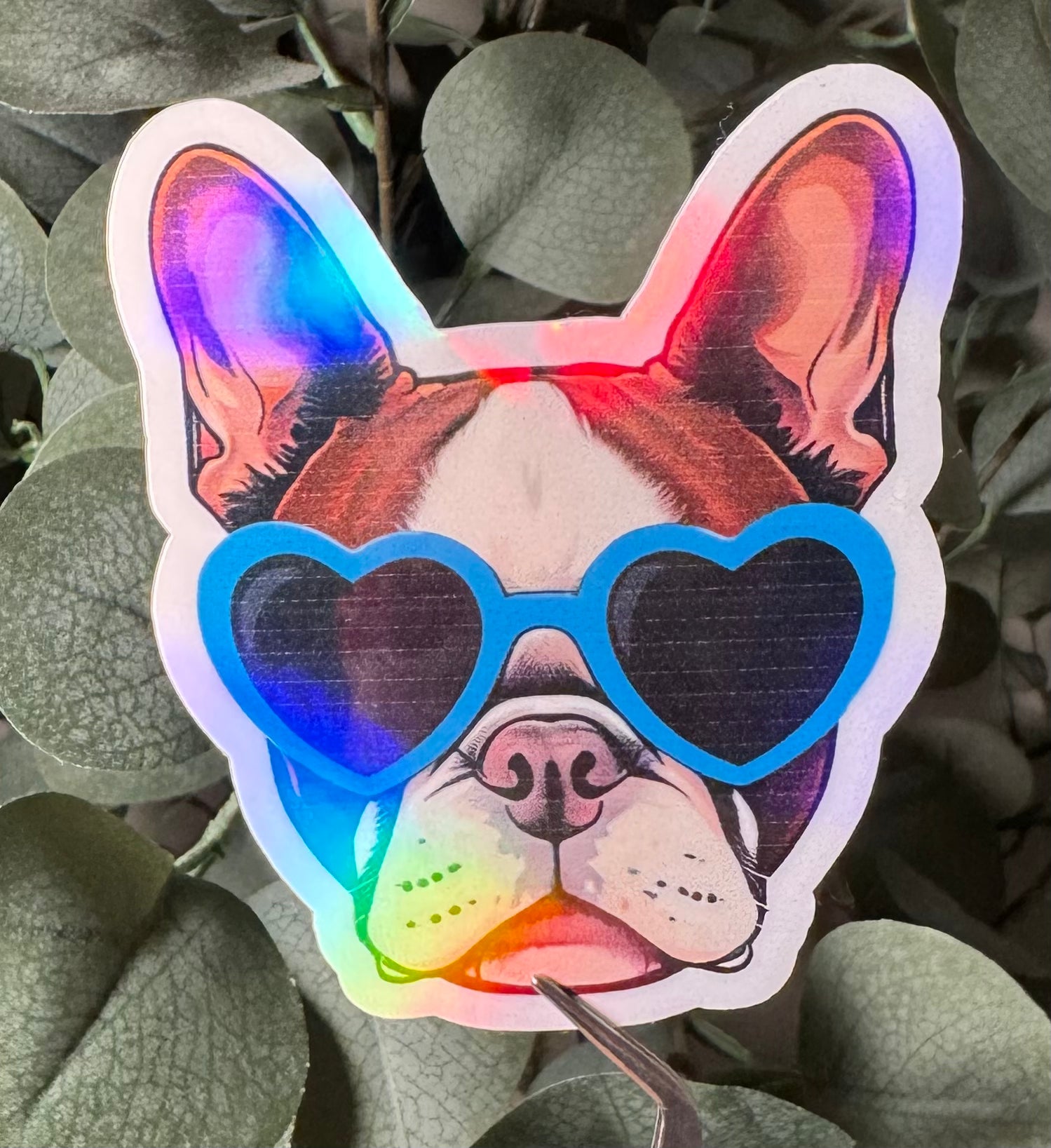 Groovy French Bulldog - Sticker – Vinyl & Waterproof Sticker